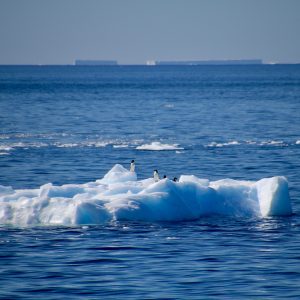 Antarctic’s Weddell Sea loses sea-ice twice the size of Spain