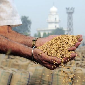 Moving Towards Food Security in Developing Nations such as India