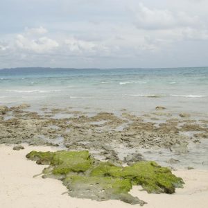 जलवायु परिवर्तन रोकने को घटे कार्बन की मात्रा