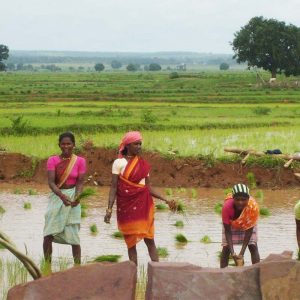 जलवायु परिवर्तन के प्रभाव से कृषि पर मंडराता खतरा