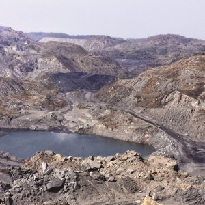Ecological Restoration of Coal Mine Degraded Lands