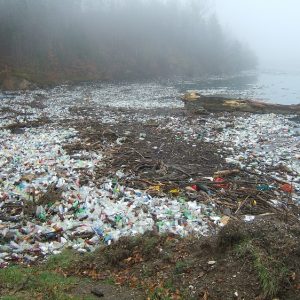 Catastrophic Plastic Waste Dumping into the Oceans