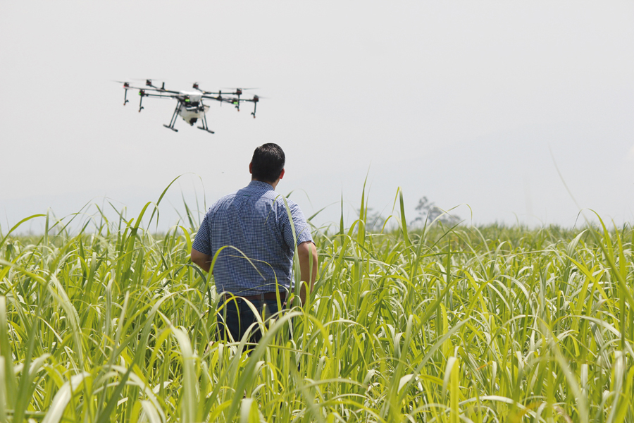 GNY :: Precision Agriculture: The Future of Sustainable Farming