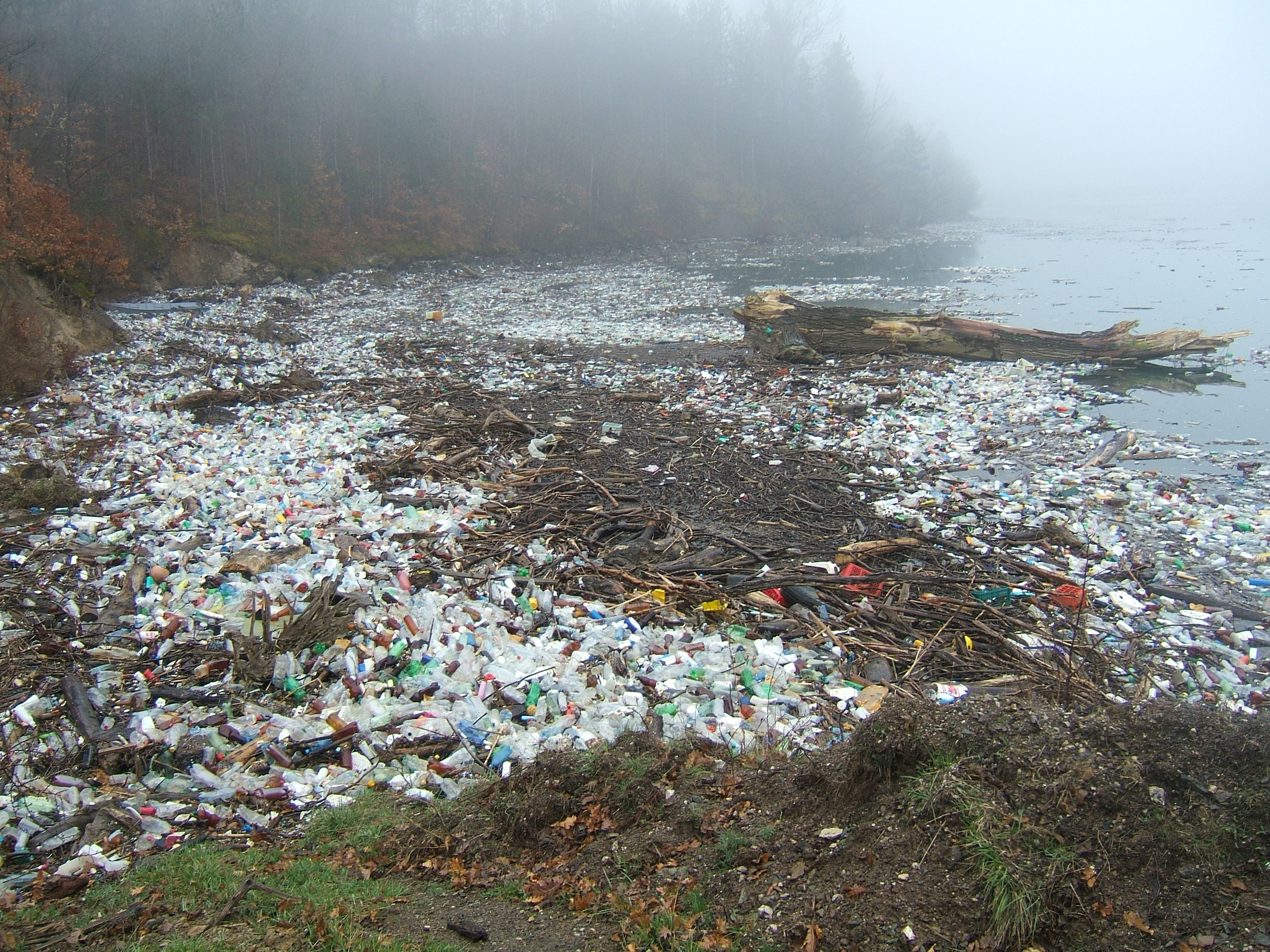 Toxic Oceans and Waste Plastic