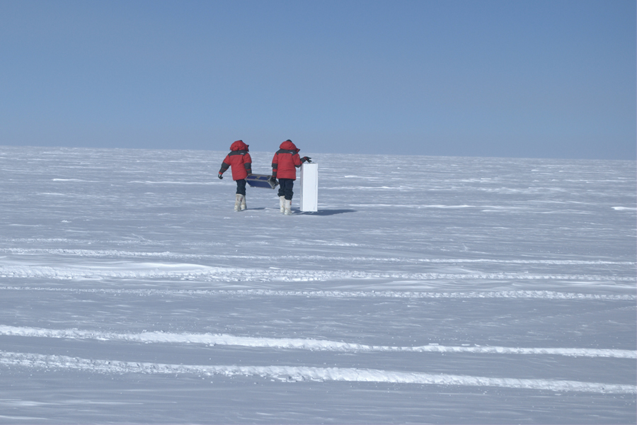 Cryospheric Research: Polar Realms and Himalaya