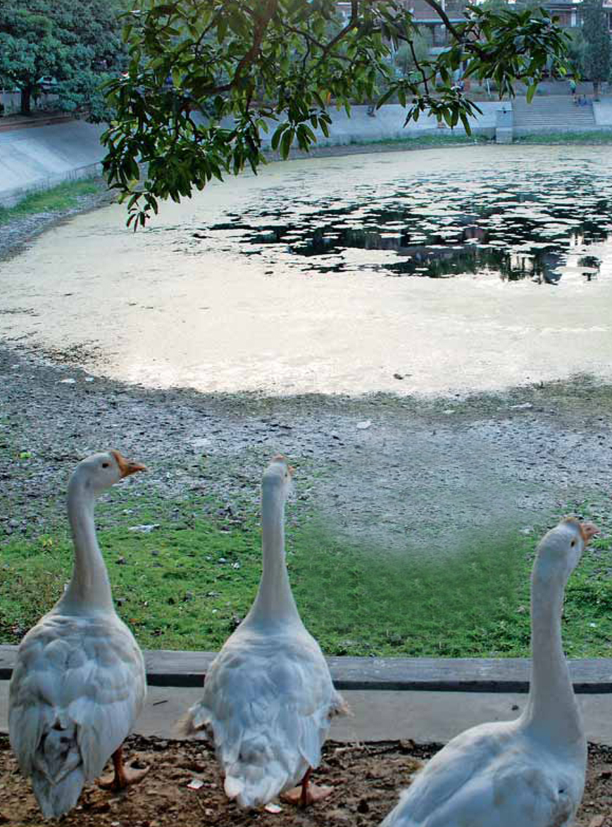 Freshwater in India editorial image