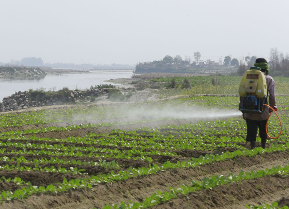 Waterborne Hazards